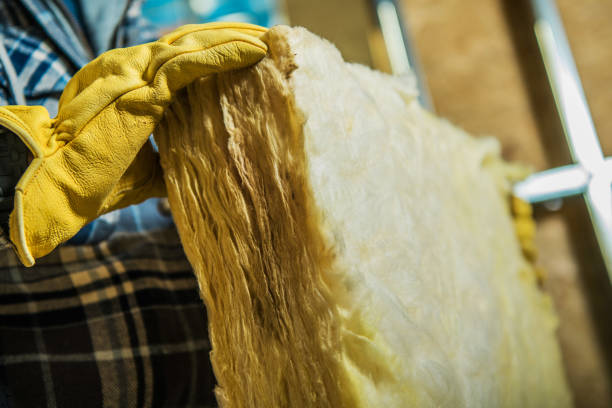 Best Insulation Maintenance and Repair in North Augusta, SC